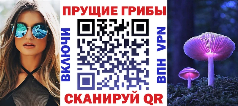 Галлюциногенные грибы Cubensis  Суворов 